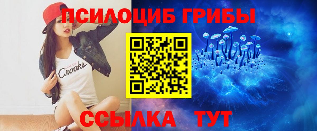 Псилоцибиновые грибы GOLDEN TEACHER  Вход с VPN  Черемхово  Галлюциногенные грибы MAGIC MUSHROOMS 