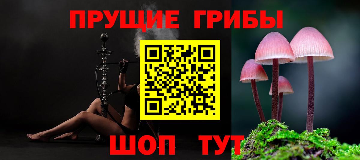 Галлюциногенные грибы GOLDEN TEACHER Черемхово